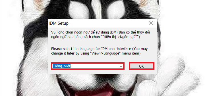 Bước 4: Bạn chọn Ngôn Ngữ để sử dụng, sau đó bạn chọn OK để tiếp tục.